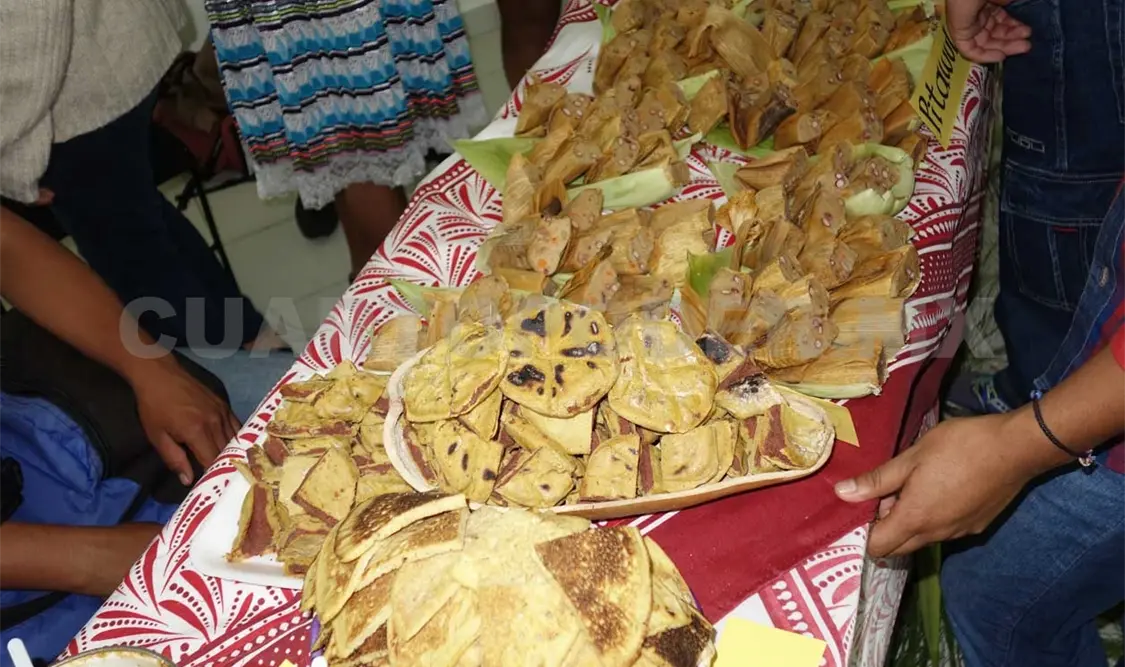 Realizarán festival del maíz y la tortilla