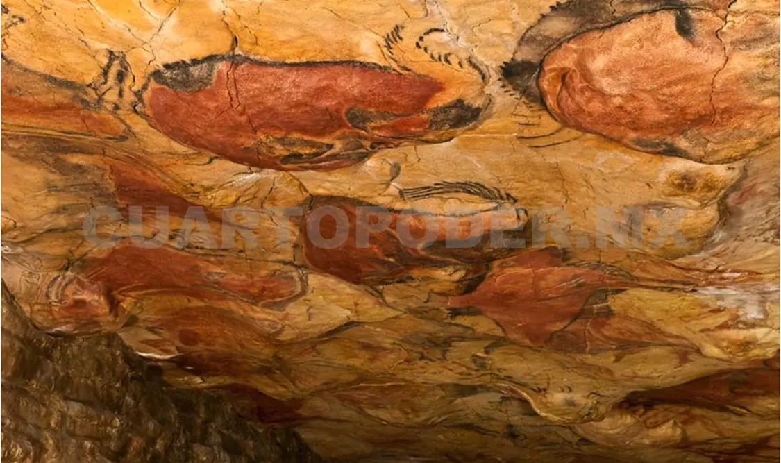 El estado de conservación de las pinturas es óptimo, después de 36 mil años de haber sido creadas. Cortesía