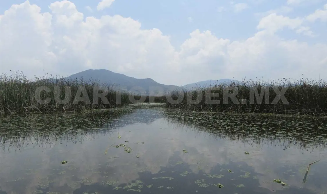 Decretos Ecológicos regularán 50 mil has