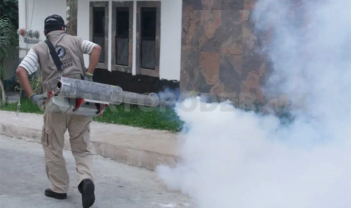 El dengue cuesta 100 mdp al año