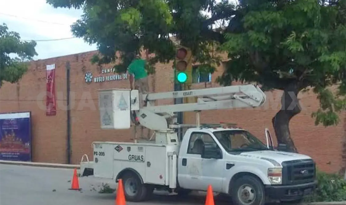Pese a necesidades, alcaldía poda árboles