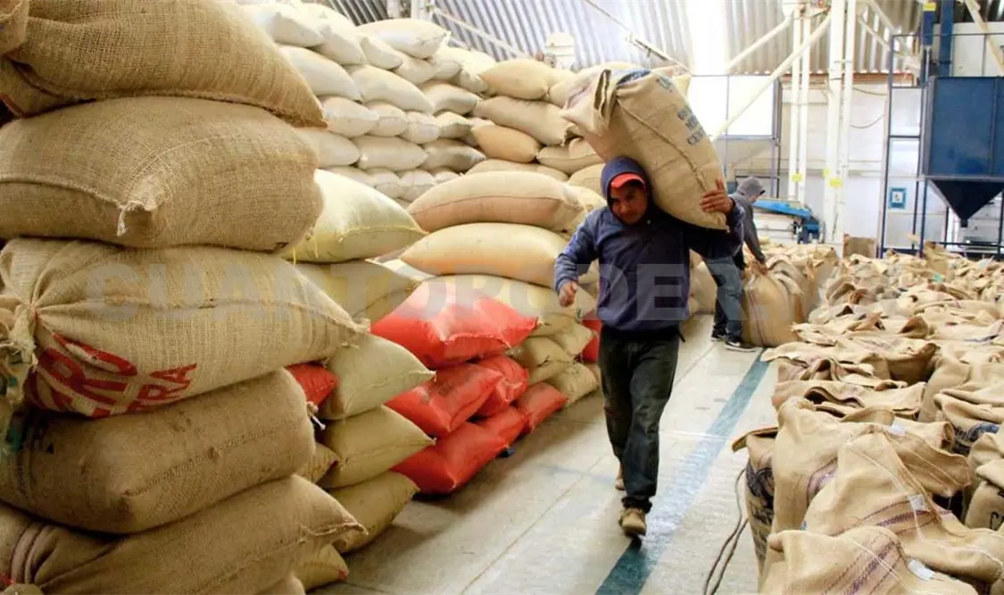 Cafetaleros cierran ventas por más de 600 mdp