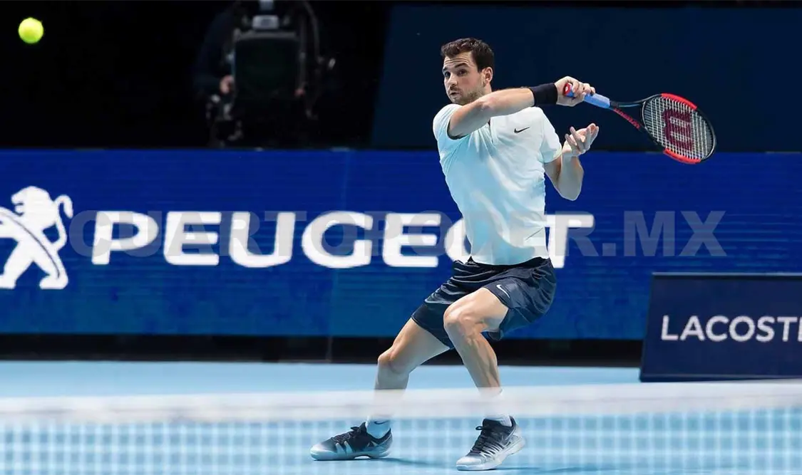 Del Potro llega a octavos de final del Abierto