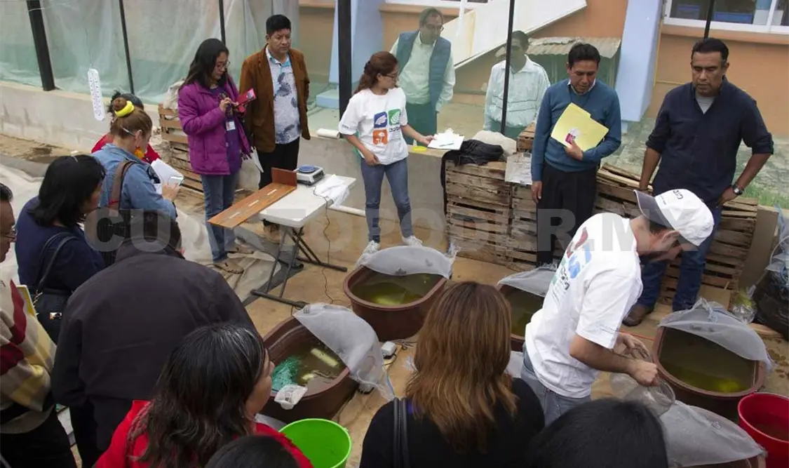 Anuncian “Ecosur a Puertas Abiertas 2018”