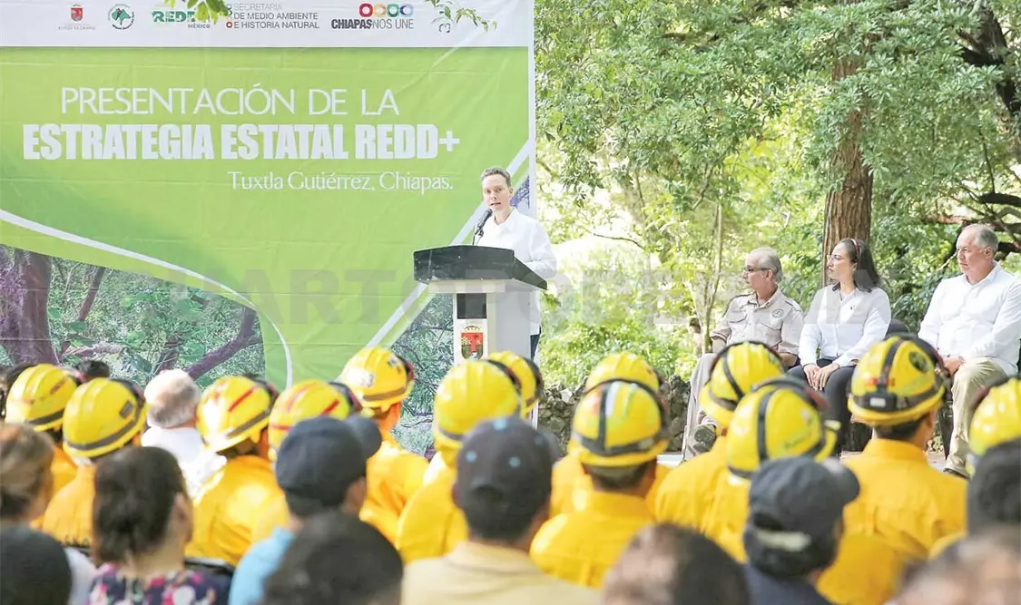 Velasco destacó que con estas medidas, Chiapas figura una vez más a nivel nacional en la protección del patrimonio natural. CP