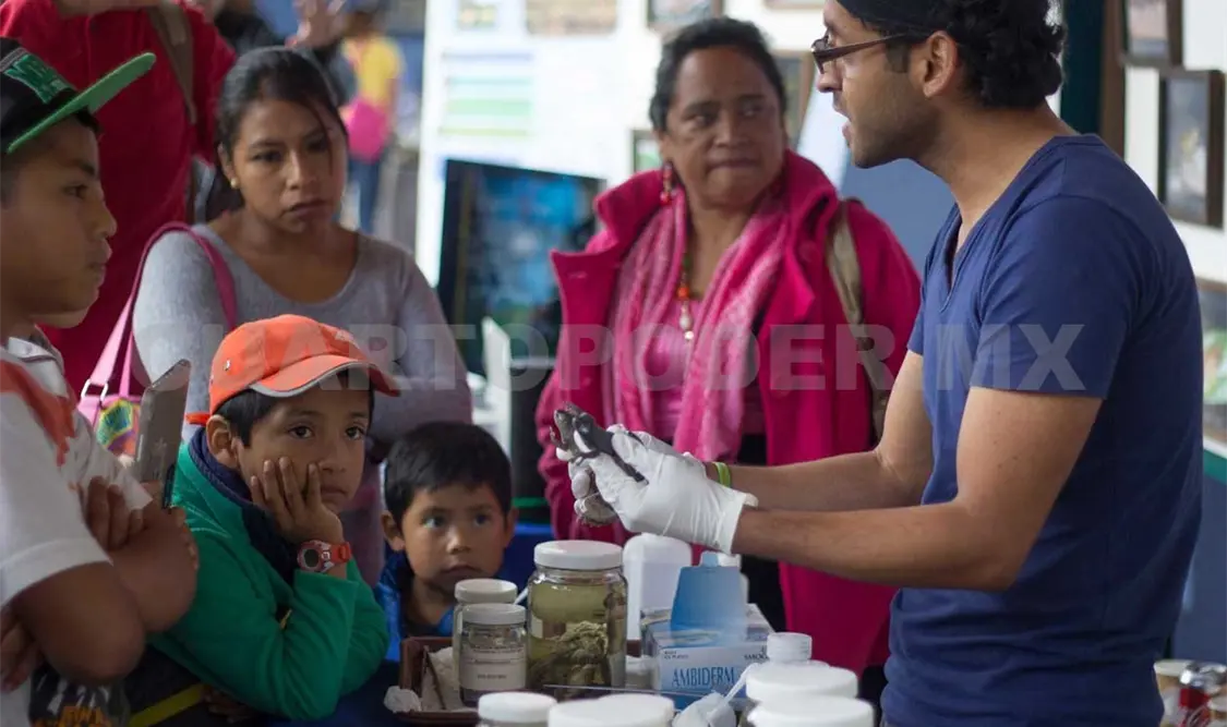 El programa de este año incluye exhibiciones de murciélagos, insectos, peces, tornados, entre otras actividades. Cortesía