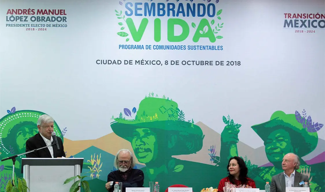 Programa Sembrando vida creará 400 mil empleos directos, anuncia López Obrador