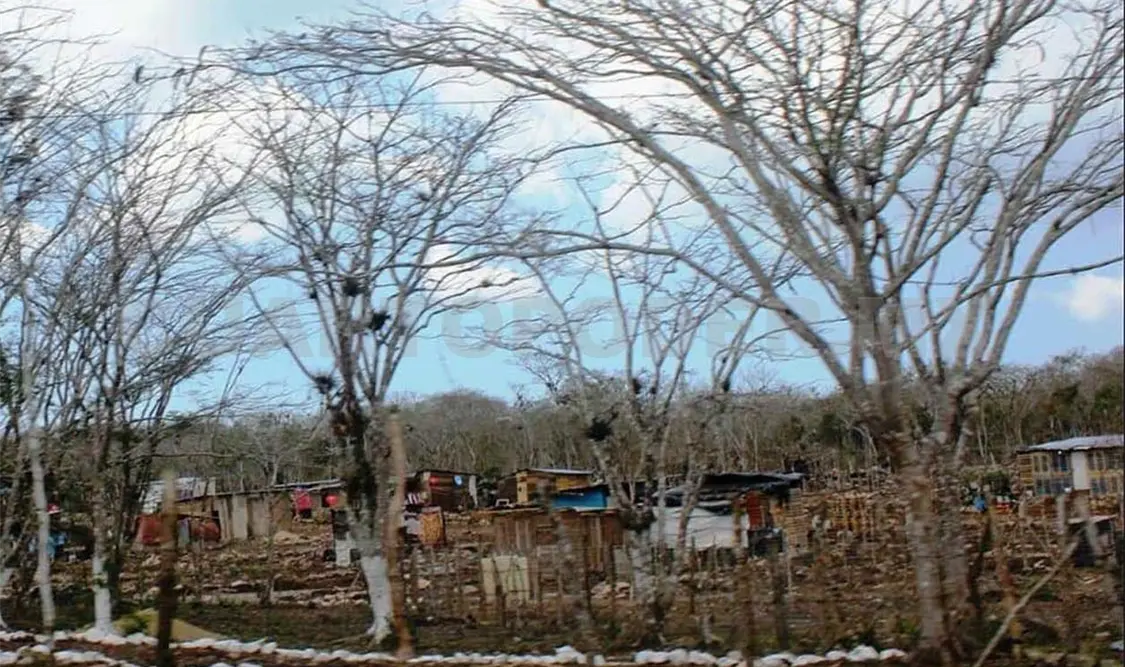 Gobierno no garantiza certeza jurídica ante invasiones