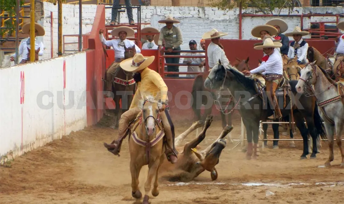 Realizarán Torneo Marco Borraz