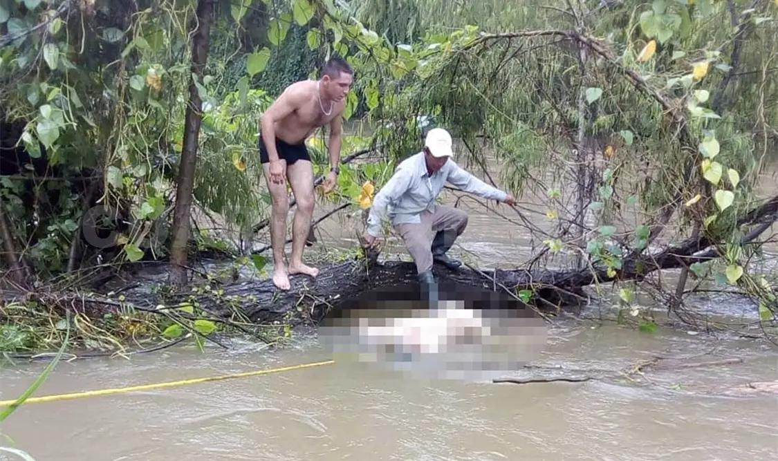 Hallan a chapín que había desaparecido