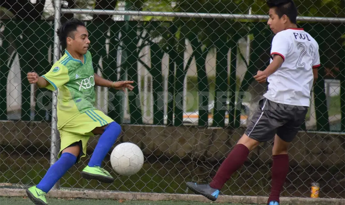 Palmeiras derrota a Amlo y entra a la Liguilla