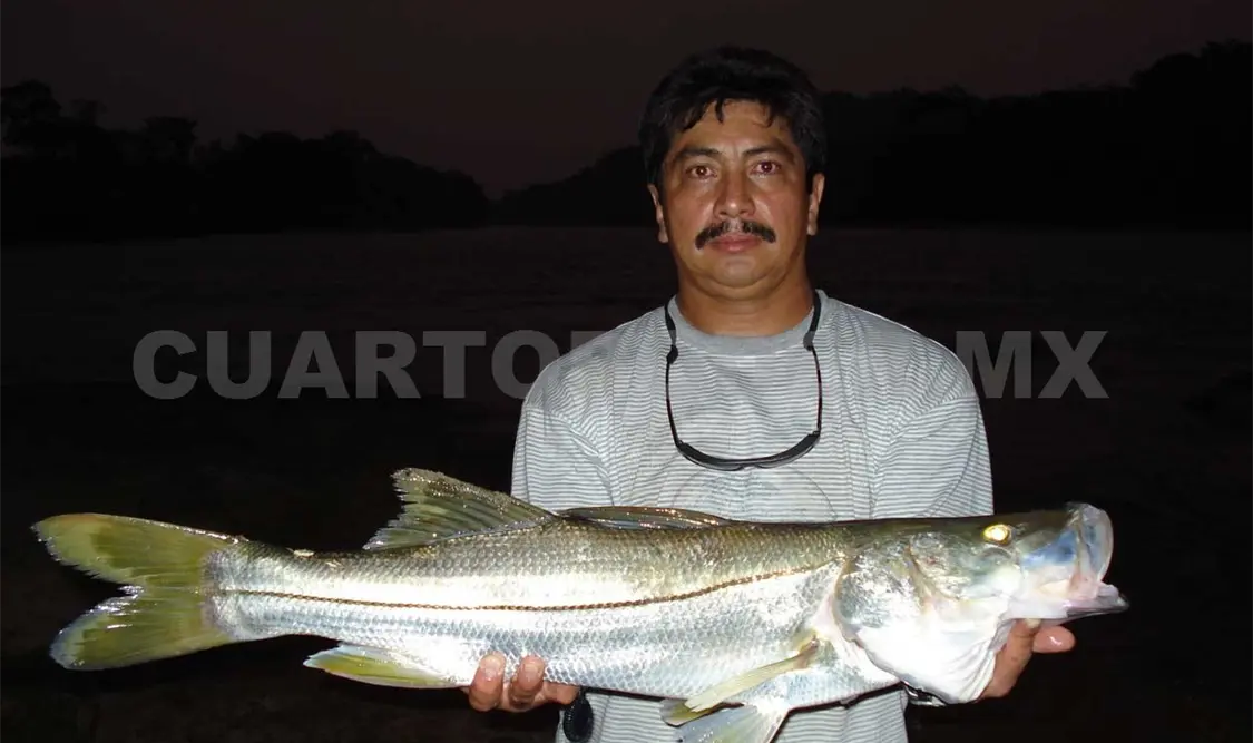 Realizarán 1º Torneo de Pesca Robalo 2018