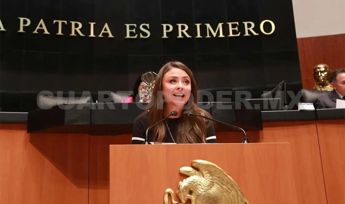 Se debe sancionar el desvío de recursos de donaciones destinadas a damnificados: De León Villard. CP