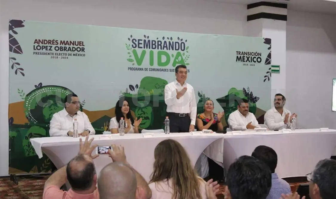 Sembrando vida,un proyecto que dará 80 mil empleos