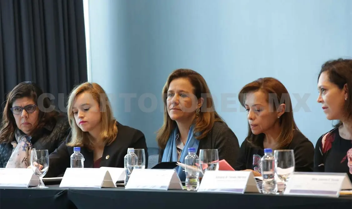 Se requieren nuevos espacios para formar oposición: Zavala