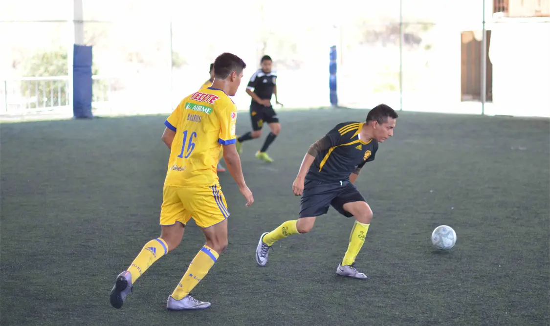 En el tercer casillero se instalaron los Tigres de la UANL, quienes vienen de menos a más en este cierre de la fase regular. Archivo
