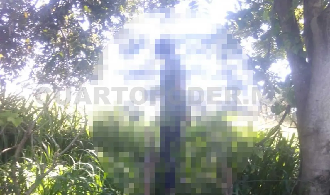 Encontraron a joven ahorcado en un árbol
