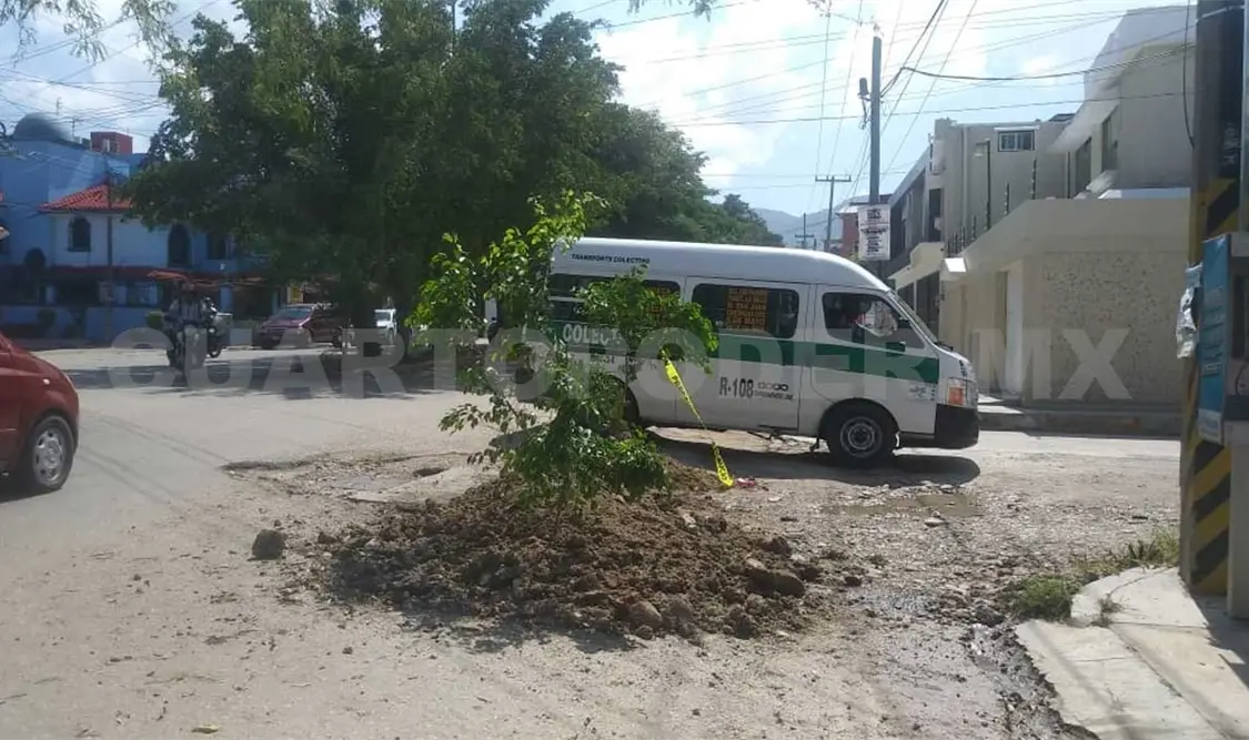 Siembran árbol en bache de La Salle
