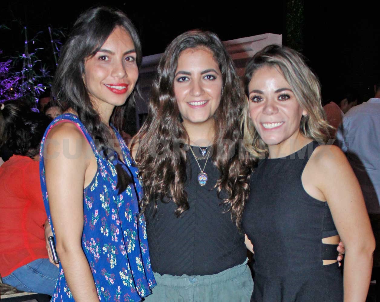 Una noche entre amigos