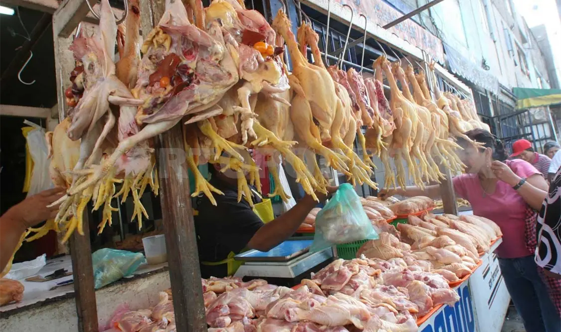 Denuncian alza injustificado en precio del pollo