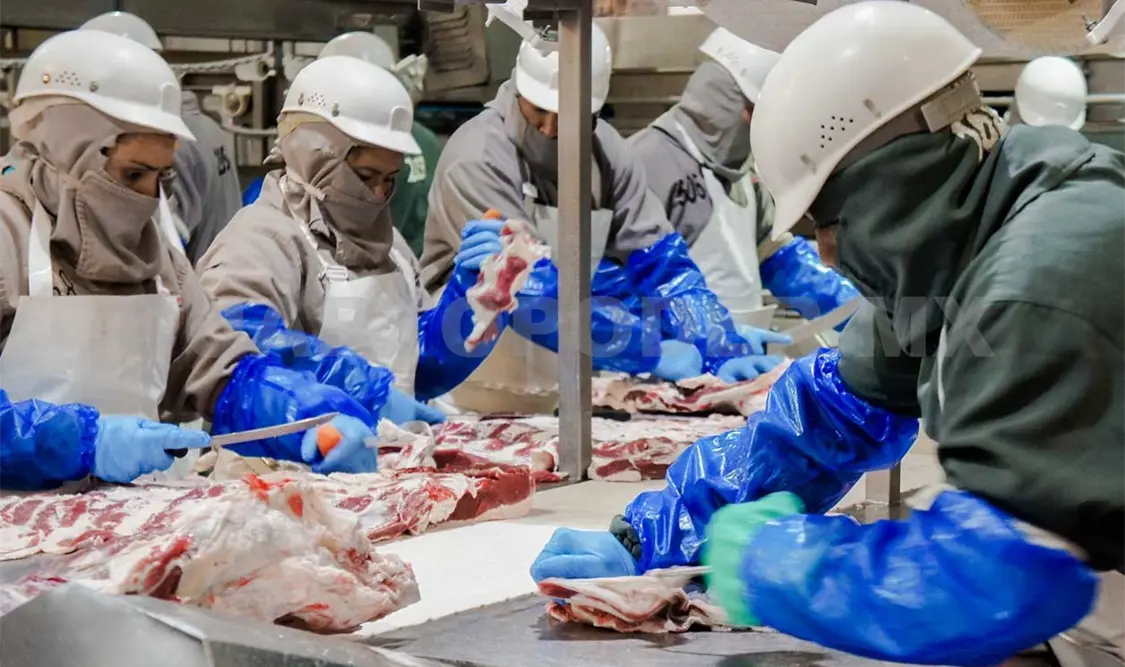 La finalidad es ofrecer a los consumidores mayor garantía de sanidad e inocuidad en la carne que llega a su mesa. Twitter