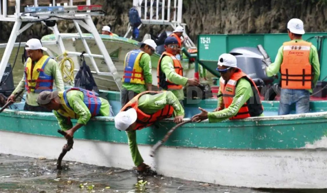 Personal del Ayuntamiento se  sumaron en este operativo de limpieza. Guillermo Ramos / CP