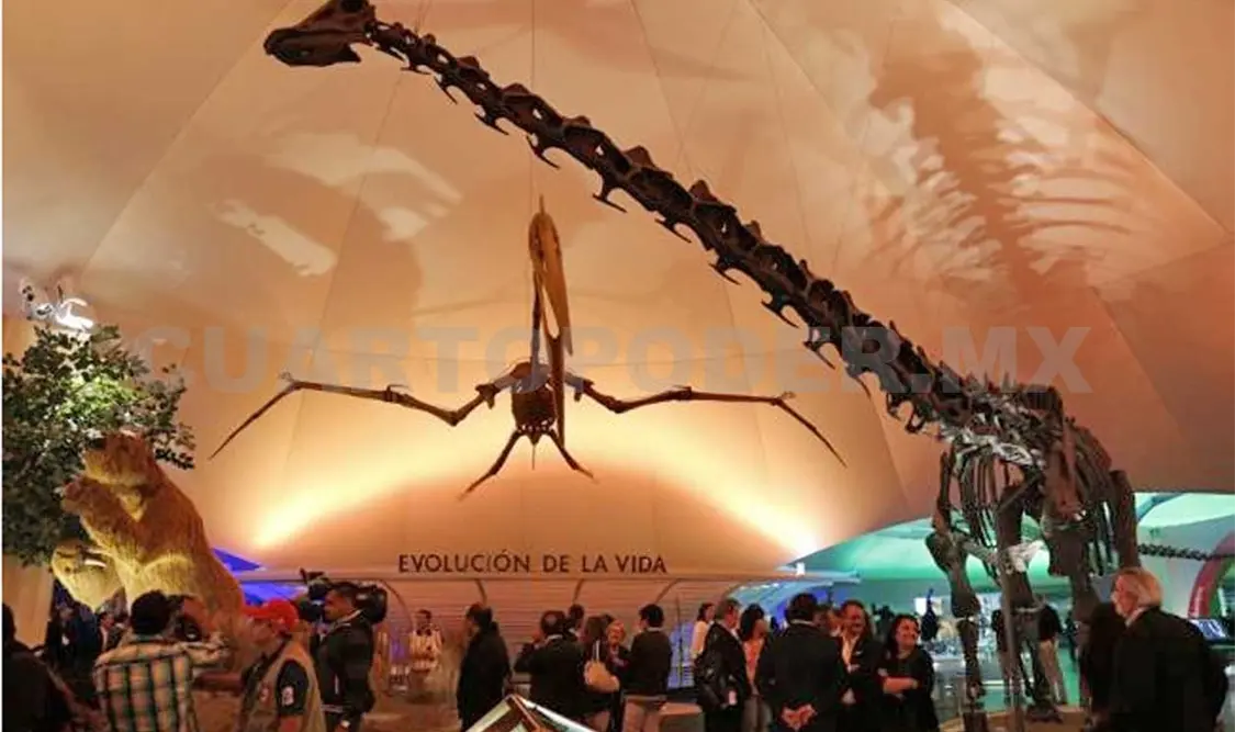 El Museo de Historia Natural, es un espacio cultural para la divulgación de la ciencia. Cortesía