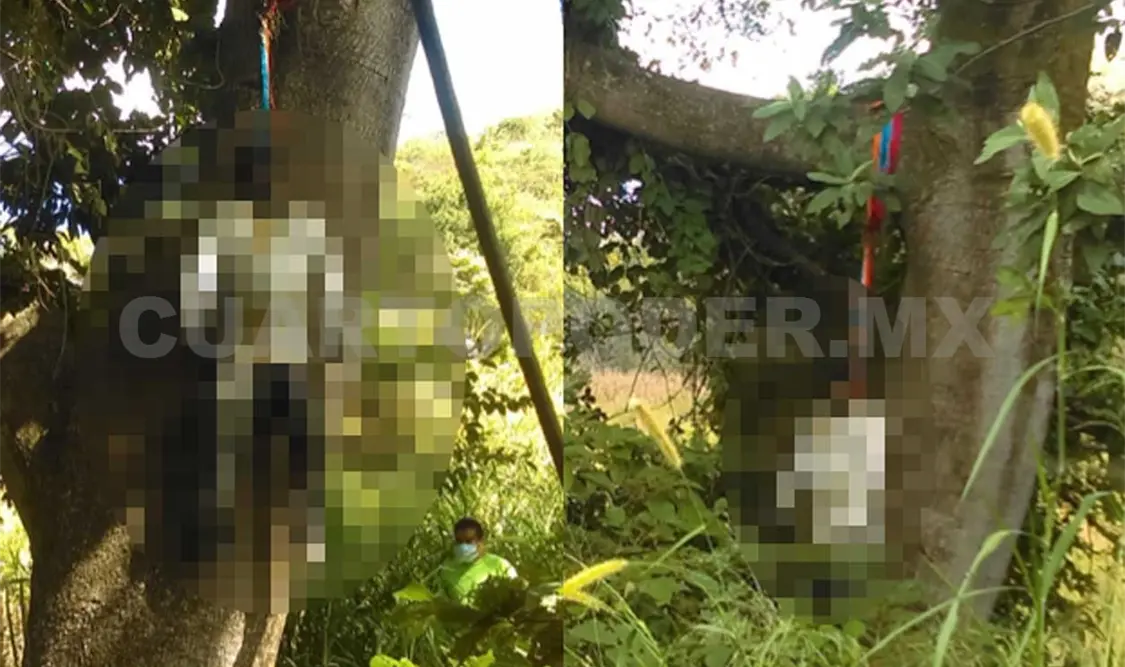 Localizan cadáver de un hombre colgado en árbol