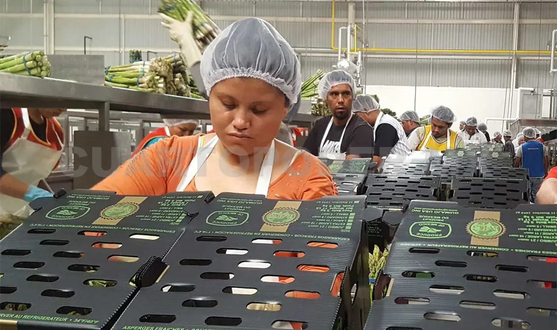 México subió lugares en el ránking como exportador de alimentos. Facebook
