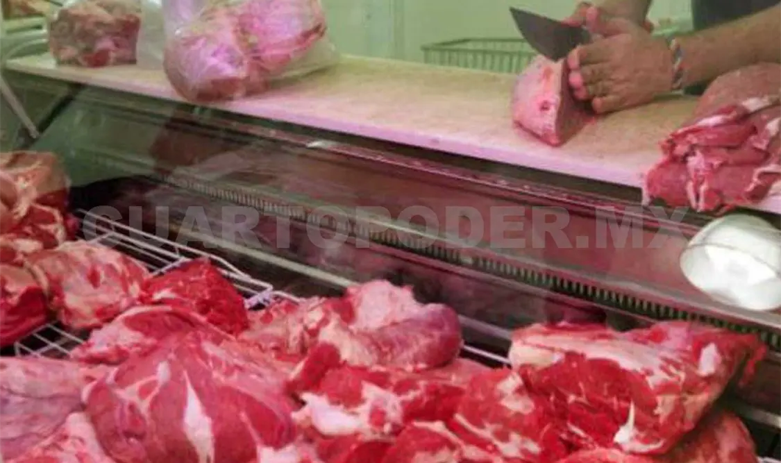 Los denunciantes pidieron a las autoridades clausurar los establecimientos que no cuentan con los permisos necesarios. CP