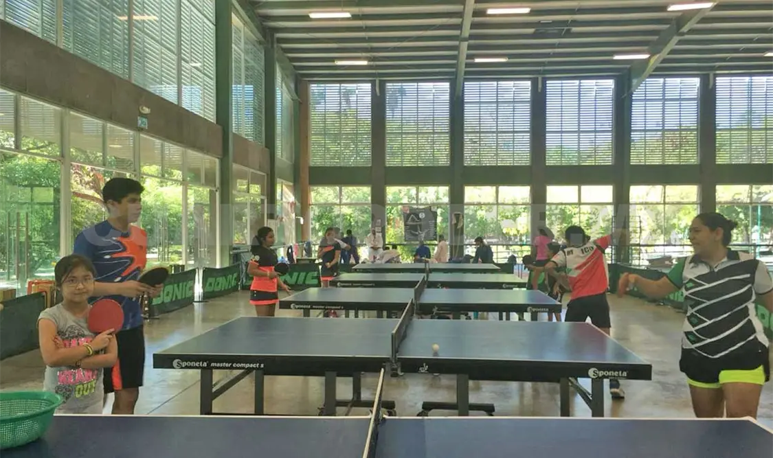 Llaman a practicar el tenis de mesa
