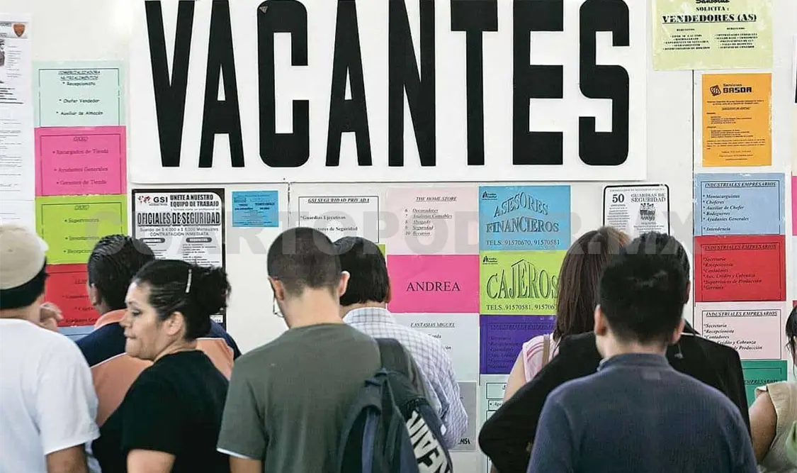 Ofrecen becas de trabajo a jóvenes