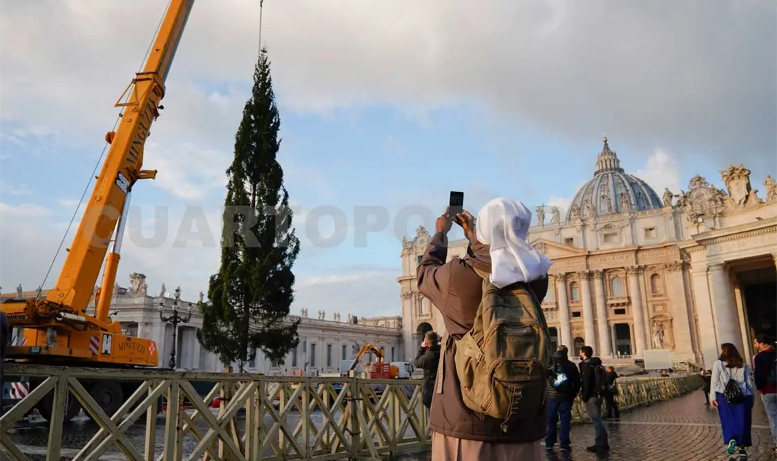 Llega árbol de Navidad gigante
