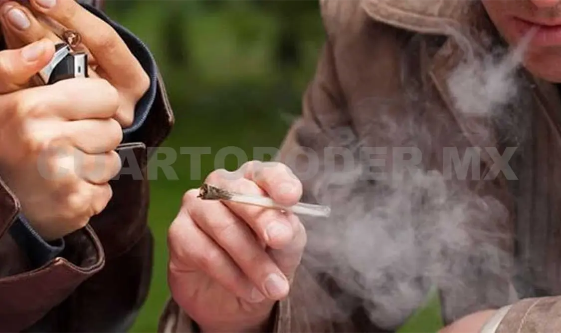 Proponen regular uso terapéutico, lúdico y personal de marihuana