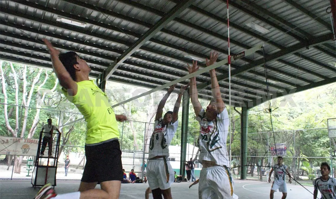 Novatos vencen a Voleyboys y son líderes