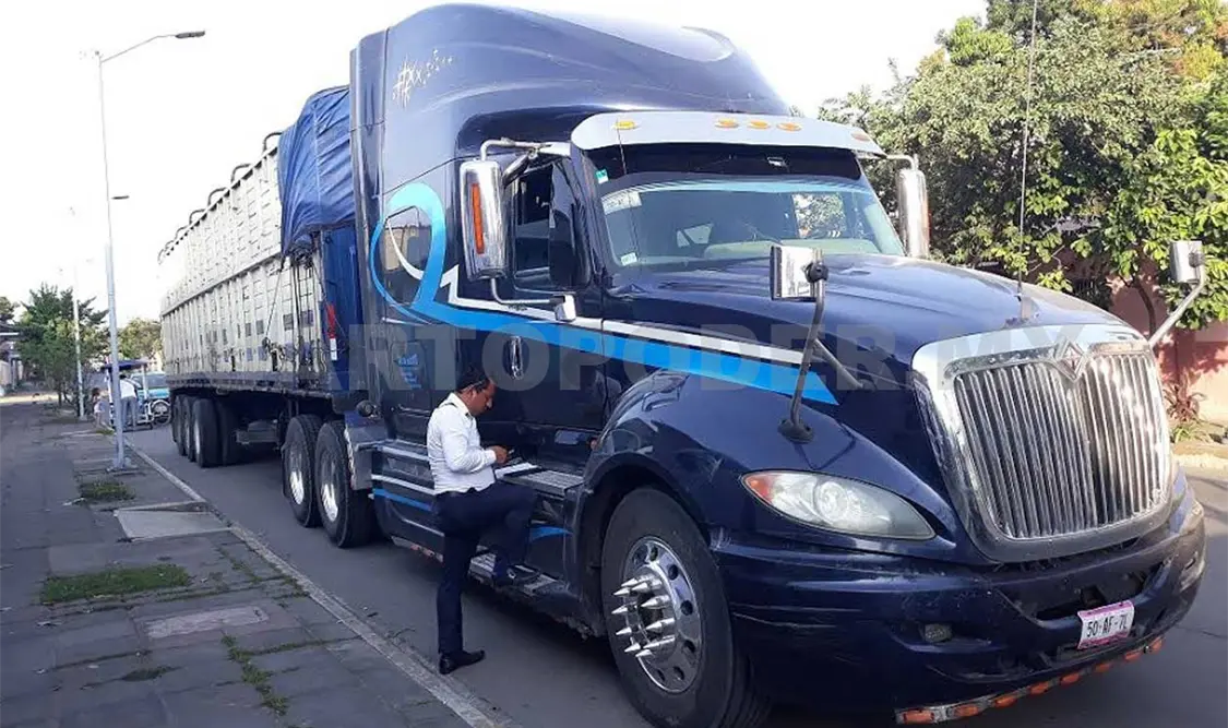 Hombres fueron embestidos por coloso; aseguran unidad