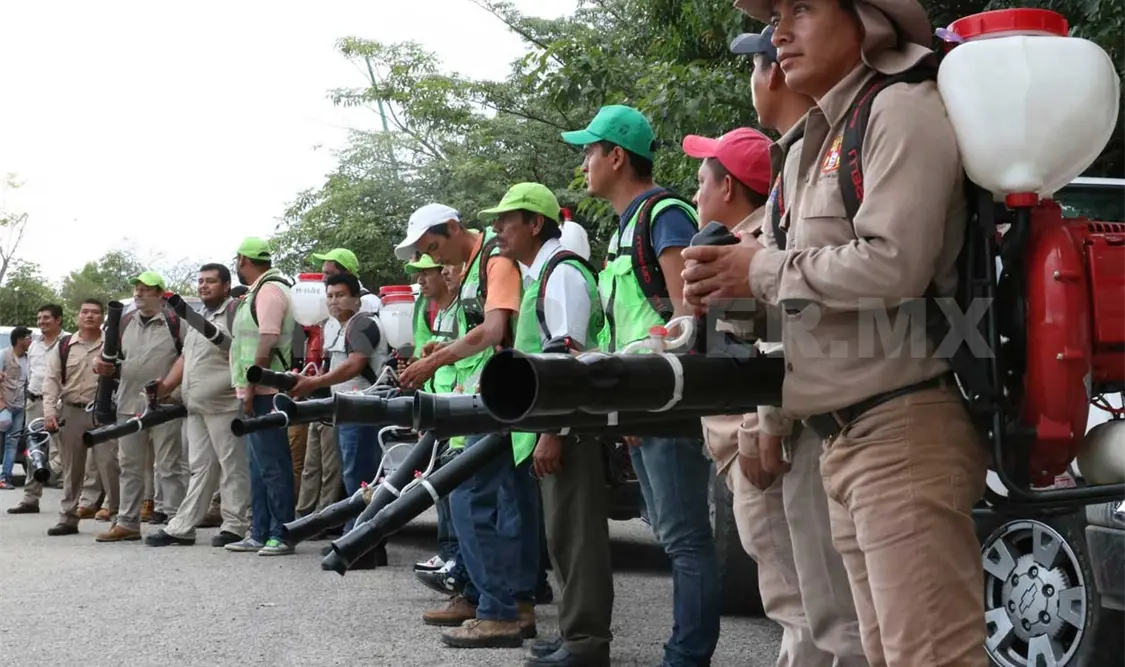 Aumentan a 30 las defunciones por dengue