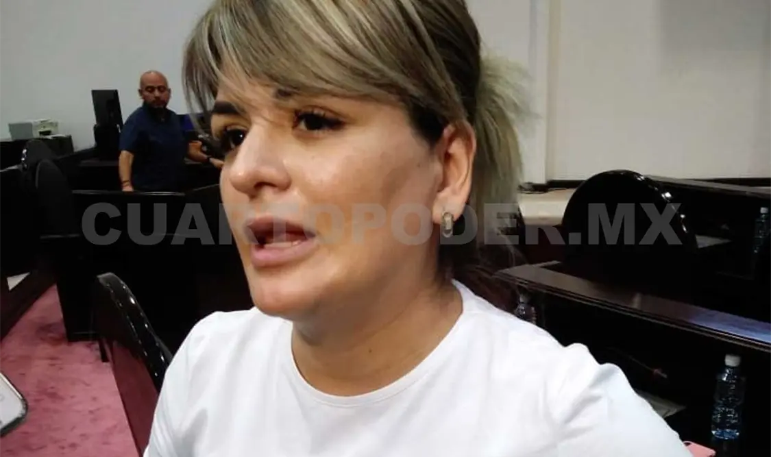 Crisis del PAN se debe a la división interna, reconocen