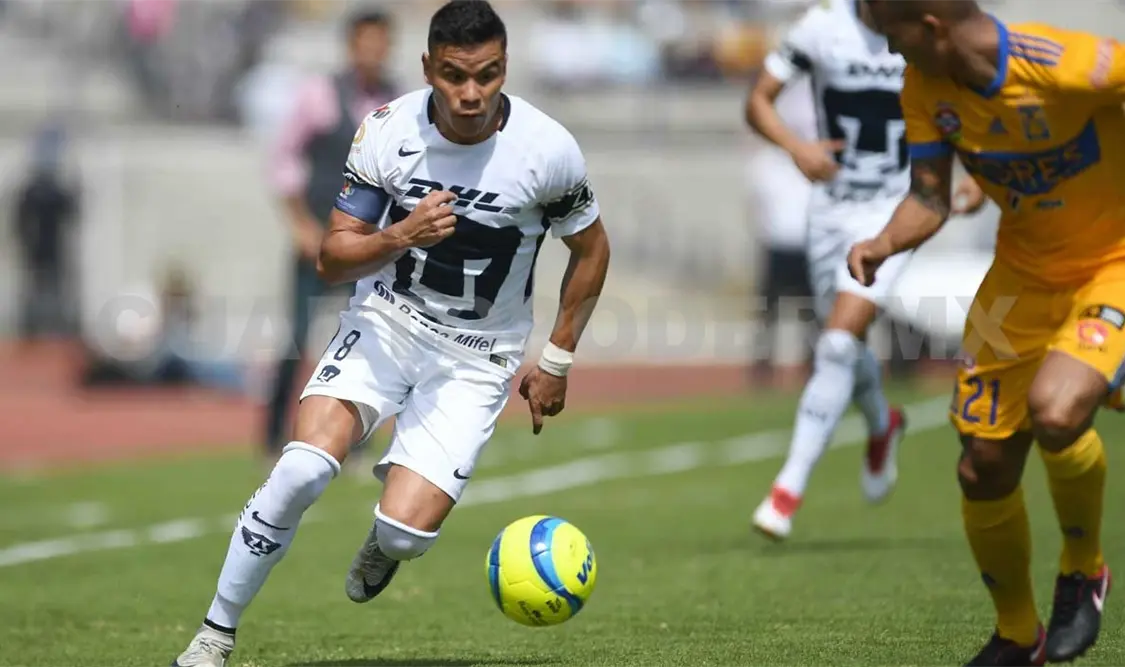 Pumas saca la garra y deja fuera a Tigres