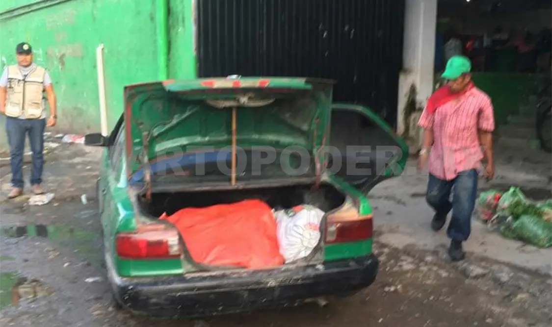 Aseguran cabezas de ganado de contrabando