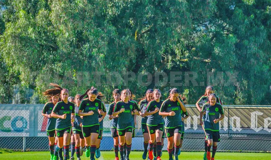 Liga MX, parte del éxito de la sub-17