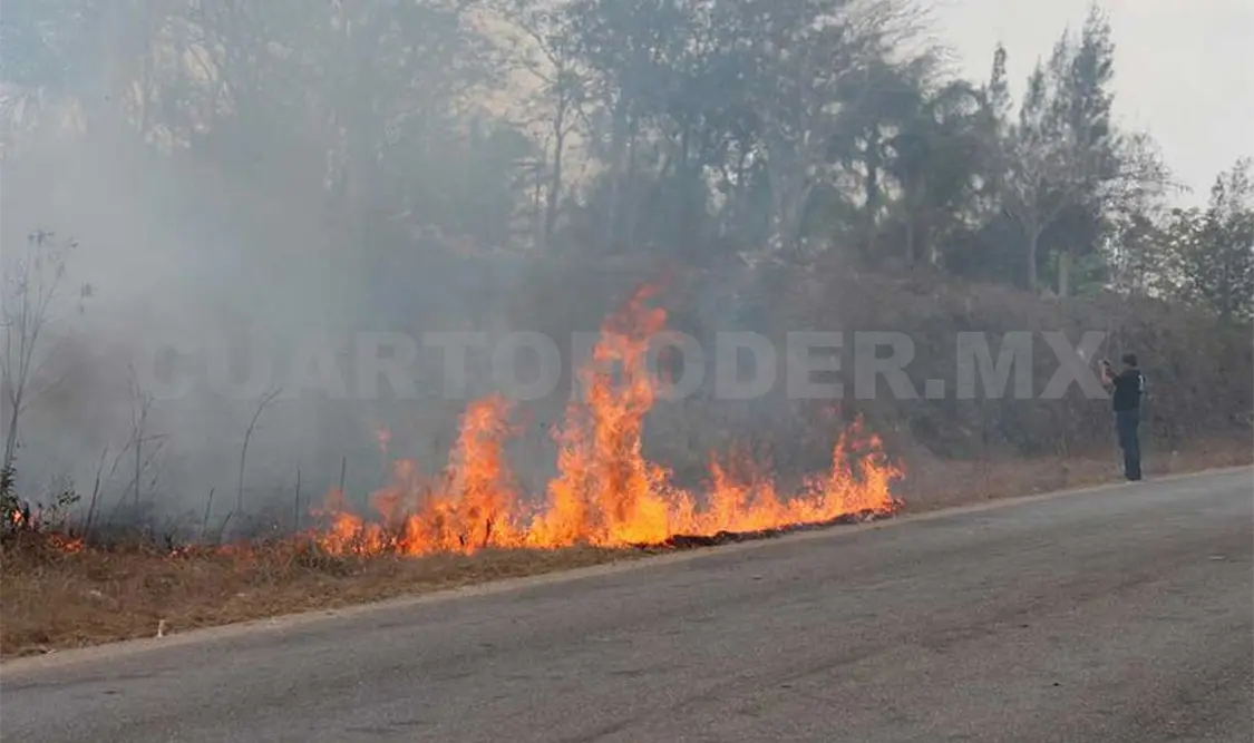 Conafor prepara a comités para prevenir incendios