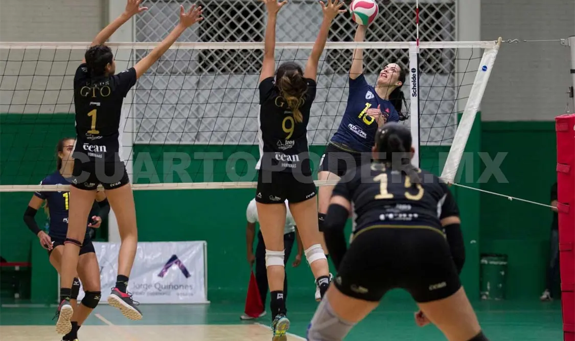 Liga Mexicana promete un gran nivel