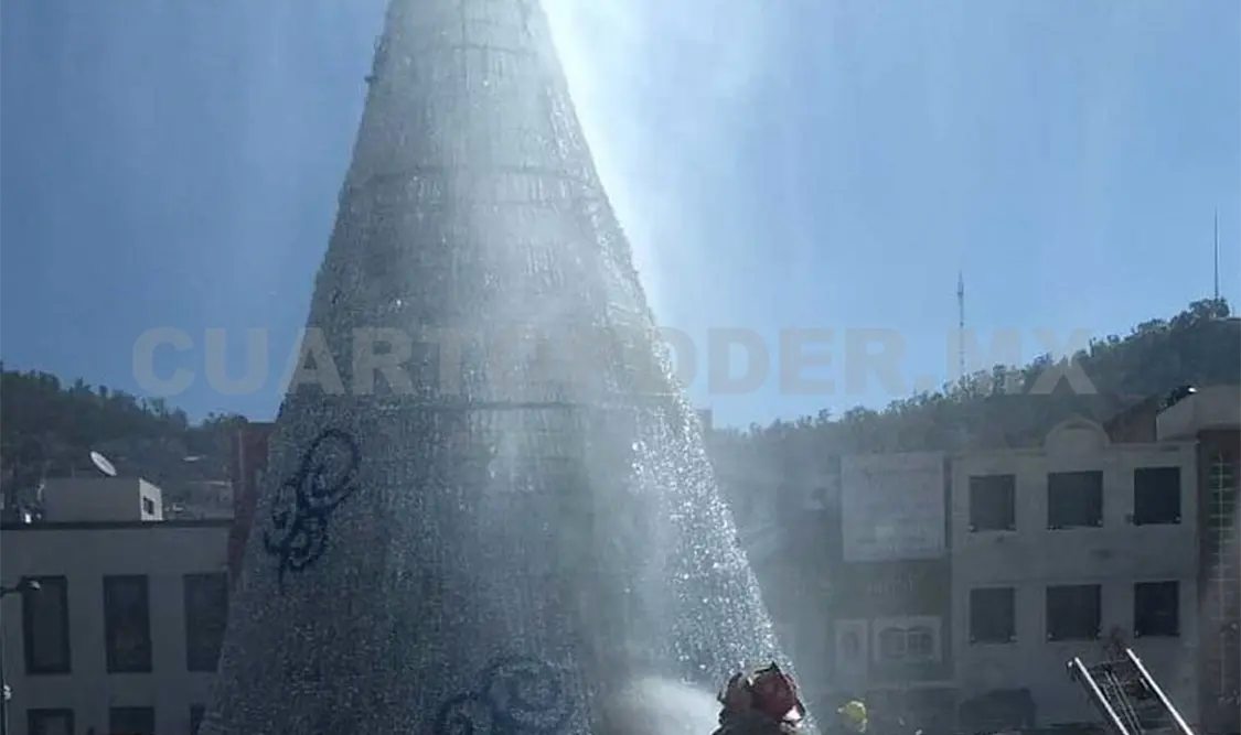 Hombre prende fuego a árbol de navidad