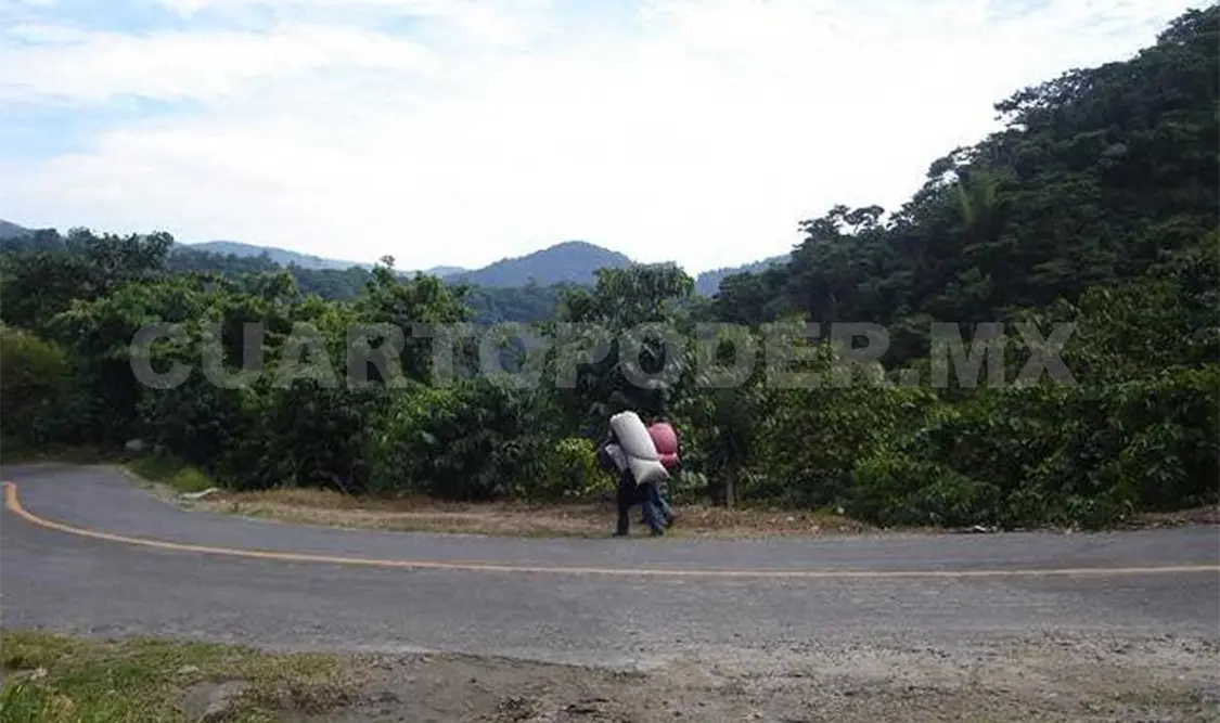 Fincas de café viven la peor crisis
