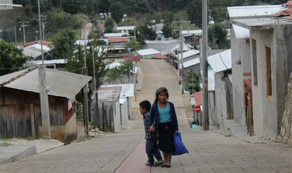 Convierten vino en agua en zonas indígenas de Chiapas