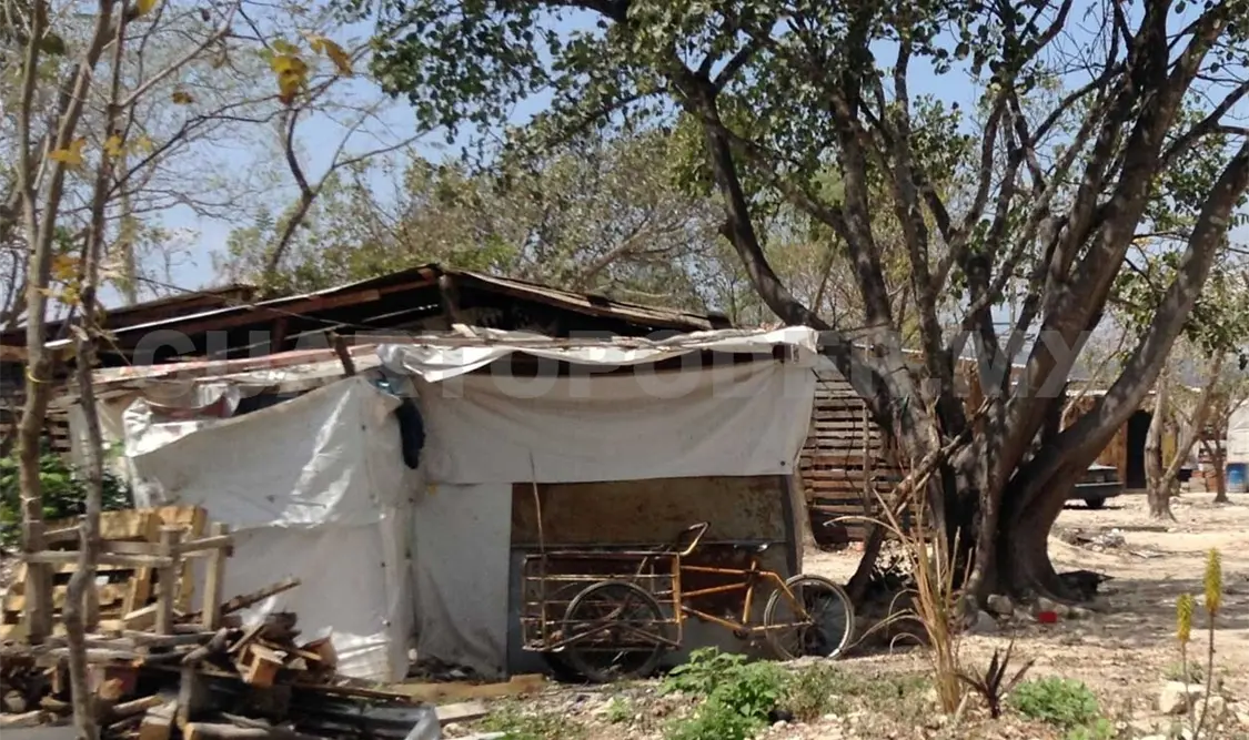 Cañón del Sumidero, 38 años resistiendo la depredación