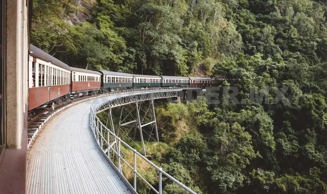 Tren Maya reactivará 60 ramas económicas