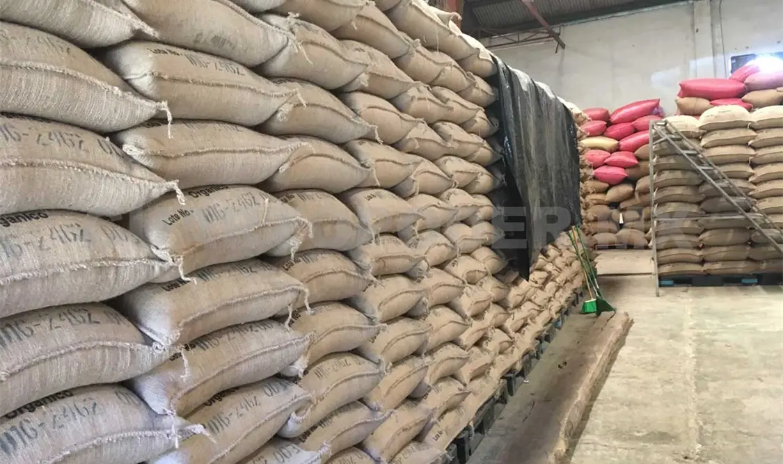 Caída en los precios e ingreso ilegal amenazan actividad