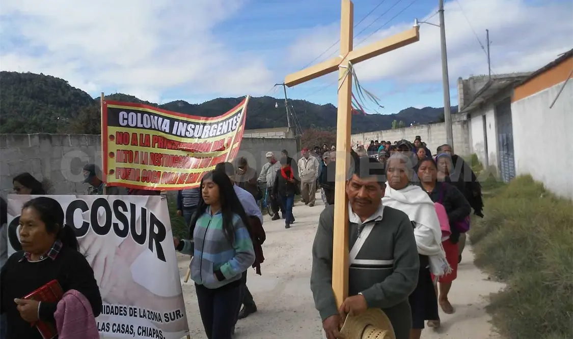 Marchan a favor del cuidado de humedales